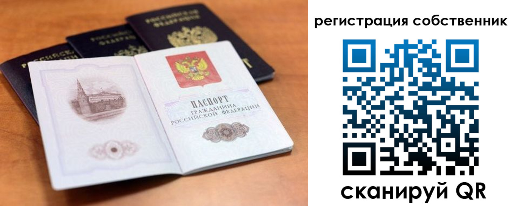 прописка поиск в Опочке